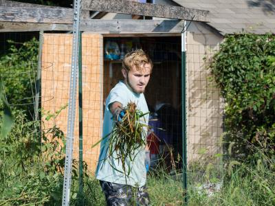 student removes weeds from garden